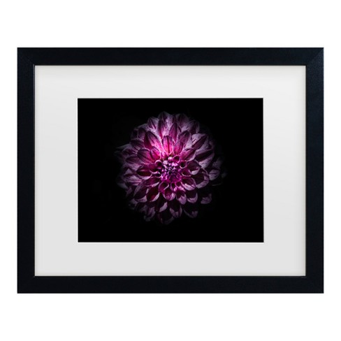 Brian Carson Backyard Flowers 57 Matted Framed Art : Target