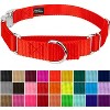 Country Brook Petz Heavyduty Nylon Martingale with Premium Buckle - 2 of 4