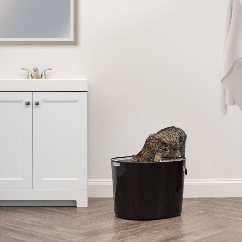 IRIS USA Top Entry Cat Litter Box Litter Particle Catching Cover and Privacy Walls with Scoop, Cat Pan, 4 of 8
