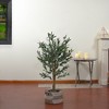 Northlight 40" Green and Brown Artificial Olive Tree with Foliage In a Black Pot - 2 of 4