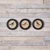 Melrose Framed Encyclopedia Bird Print (Set of 3) - 2 of 3