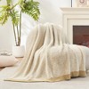 Amelie Home Reversible Plush Knit Throw Blanket - Soft & Cozy Feather Yarn Design - 2 of 4
