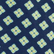 navy geo