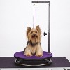 Master Equipment Small Pet Grooming Table 18in Pur - 3 of 4