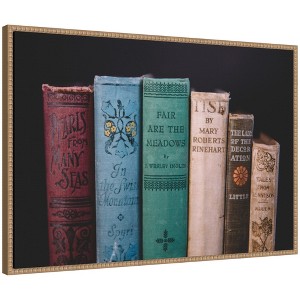 Kate & Laurel All Things Decor 33"x23" Sylvie Vintage Classic Books Framed Canvas by Patricia Hasz Beaded Natural - 1 of 4