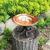 Achla Designs 8" Dogwood Garden Birdbath, Copper Plated/Patina Finish, Tripod Stand: Stainless Steel, Freestanding - 3 of 4