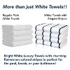 Arkwright Las Rayas Striped Pool Towels (4-Pack), 30x60 in., 100% Ring Spun Cotton - 4 of 4