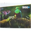 The Canadian Group Set of 2 Keepsakes 1000 Piece Jigsaw Puzzles | Colorful Birds - 3 of 4