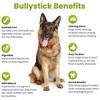 Sancho & Lola's Bully Sticks for Dogs 6-Inch Standard (5 Count) Dog Chews - 3 of 4