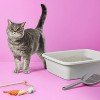 Lightweight Scented Clumping Cat Litter - up&up™ - 2 of 3