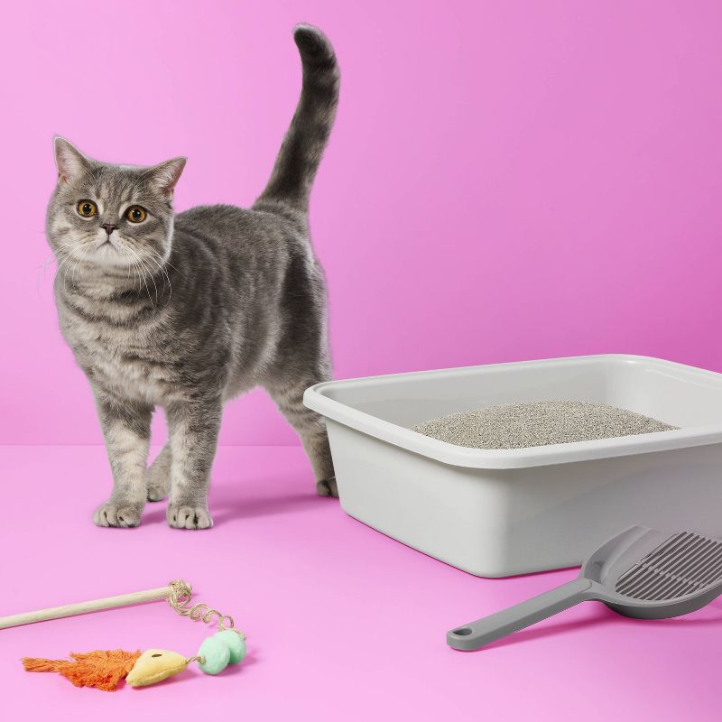 Lightweight Scented Clumping Cat Litter - up & up™, 2 of 4
