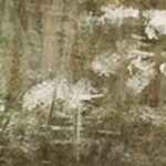 luster gray