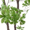 NicBex Artificial Milan Plant Indoor, Fake Tree with Pot, Tall Faux Plants, Artificial Trees for Home Office Living Room Decor - 3 of 4