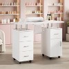 Acekool Manicure Table Nail Desk with Electric Dust Collector, 4 Drawers & Cabinet Storage, Lockable Wheels, Ergonomic White Nail Station - 3 of 4