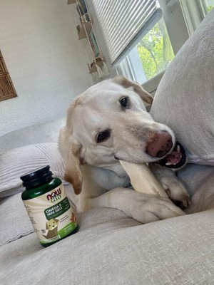 Guest review image 2 of 3, zoom in