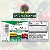 Nature's Answer - Craneberry Extract 10000mg, Vaccinium Macrocarpon, 1 Oz Liquid - 2 of 4