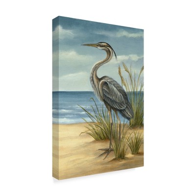Trademark Fine Art -Ethan Harper 'Shore Bird Ii' Canvas Art