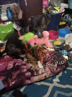 Guest review image 3 of 3, zoom in