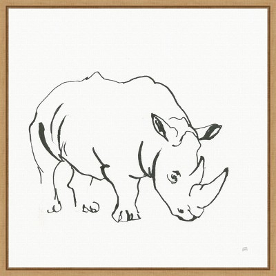 16" x 16" African Animals V Rhinoceros by Chris Paschke Framed Wall Canvas - Amanti Art