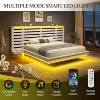 Farmhouse Floating Bed Frame with Extended Grille Headboard - 3 of 4