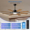 52" Ceiling Fan with Lights and Remote Control ¨C 8 Plywood Blades, 6-Speed Noiseless DC Motor, 3CCT - 2 of 4
