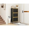 TIRAMISUBEST Black Metal Rattan Shoe Rack, 3-Door Entryway Organizer with Honeycomb Design - 2 of 4