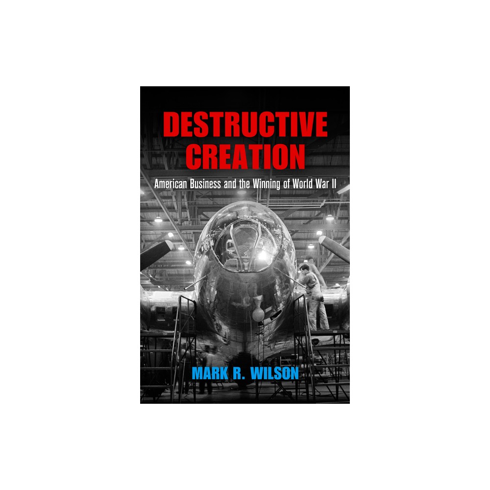 Destructive Creation - (American Business, Politics, and Society) by Mark R Wilson (Paperback)