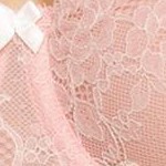 bridal rose