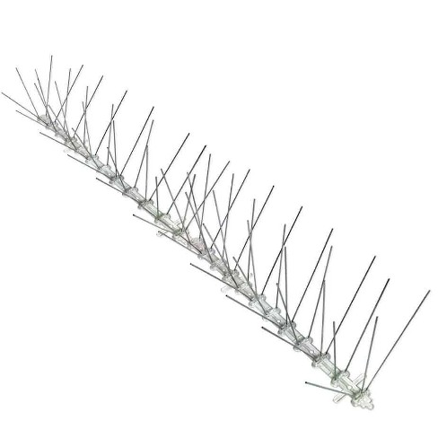 Bird-x 50ft Stainless Bird Spikes: Durable, Outdoor Pest Control, No ...