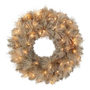 Puleo 24" Battery-Operated Pre-Lit Tan Wreath with 35 Warm White Lights - 1 of 4