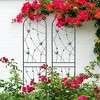 Hrinhom 2-Panel Metal Garden Trellis,Arched Plant Support,Decorative Fence - 3 of 4