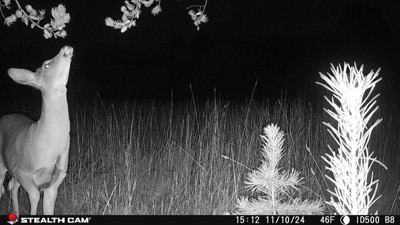 Guest review image 5 of 5, zoom in