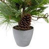 Northlight Real Touch™️ Potted Mixed Pine and Cedar Artificial Christmas Tree - 24" - Unlit - image 2 of 4