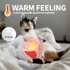 Allforpaws Dog Toys Puppy Soothing Heartbeat Warm Bear Comfort Dog Sleep Aid Plush Toy, Kitty, Gray - 3 of 4