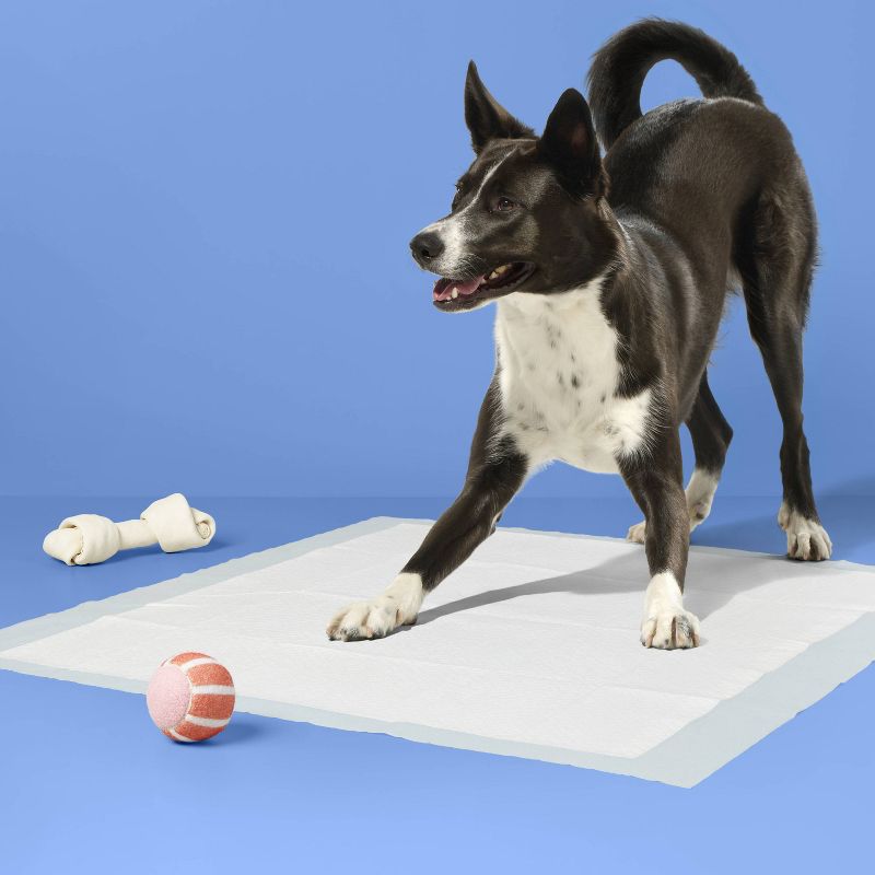 Dog Training Pads - XL - up & up™, 2 of 5