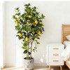 2-Pack 4FT Artificial Lemon Tree That Look Real, Faux Lemons Citrus Plants with Yellow Fake Lemons Fruits in Black Pot, Indoor Artificial Trees - 4 of 4