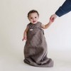 embe Laylo Sleep Sack DUO (Sheet + Comforter-in-1), 6-24 months - 2 of 4