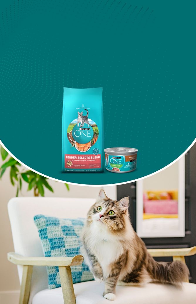 PURINA ONE