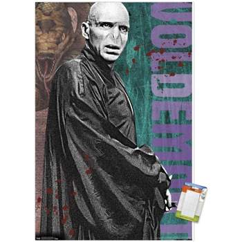 The Wizarding World: Harry Potter - Voldemort with Wand Wall Poster, 22.375 inch x 34 inch, Framed, FR16401BLK22X34EC