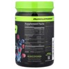 MusclePharm Assault® Preworkout, Blue Raspberry , 12.1 oz (344 g) - 2 of 4