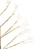The Lakeside Collection Lighted Twinkle Trees - 24" - 3 of 4