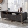 Sauder Walter Heights TV Credenza for TVs up to 65" Blade Walnut - image 3 of 4