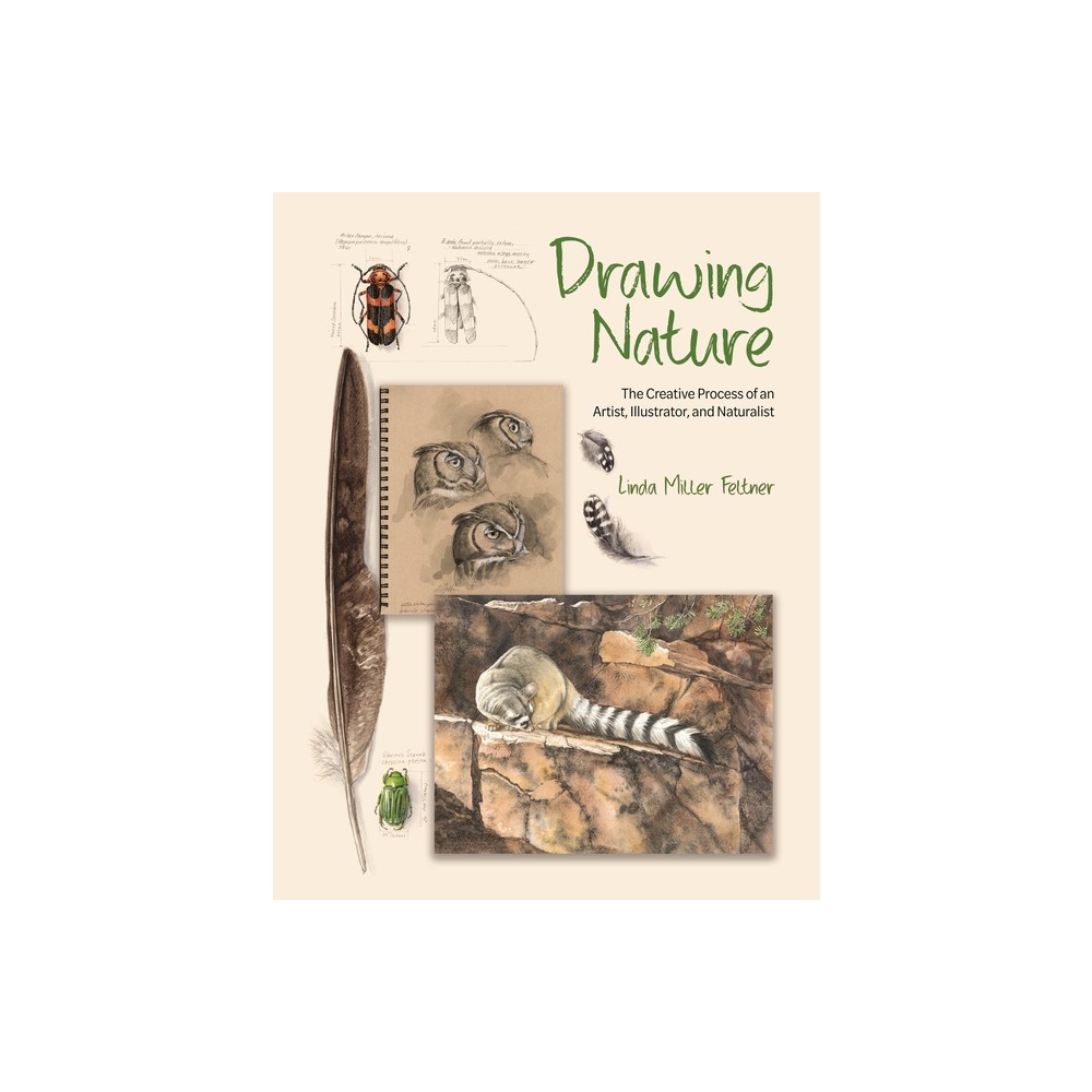 Drawing Nature - by Linda Miller Feltner (Hardcover)