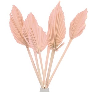 Unique Bargains Dried Natural Boho Palm Leaf Bulk - 1 of 4