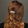 Unique Bargains Hair Clip Classic Hairdo Clip 1 Pc - 2 of 4