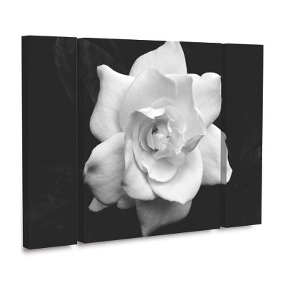 Kurt Shaffer 'Gardenia In Black And White' Floating Brushed Aluminum Art