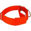 Country Brook Petz 1 1/2 Inch Martingale Heavyduty Nylon Dog Collar - 4 of 4