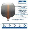 Novelty Lights Large Pendant Light Bulb with Magnetic LED Flex Filament, Dimmable 400 Lumens, 5W 1800K Ultra Warm White, E26 Base, 25,000 Hour Life - 2 of 4