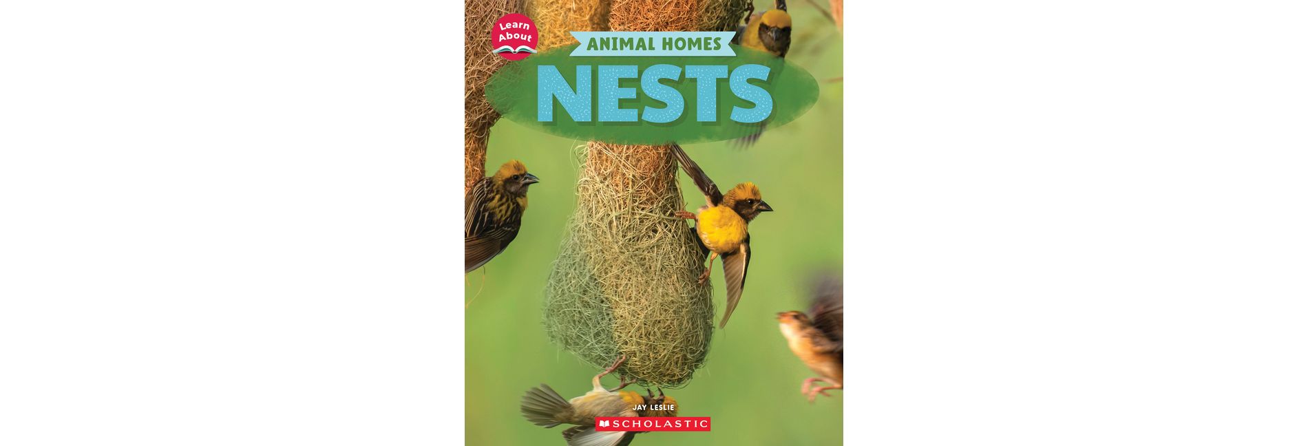 Nests (Learn About: Animal Homes) - (Learn about) by  Jay Leslie (Paperback)