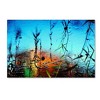 Trademark Fine Art -Beata Czyzowska Young 'Painted by Nature' Canvas Art - 2 of 3